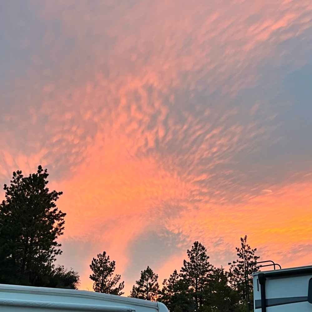 Meet your Posher, Kalee